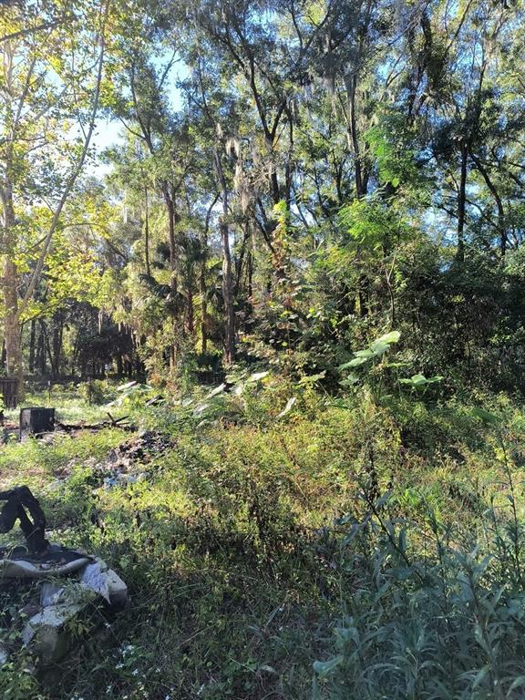 3240 Northeast 167th Street Citra, FL 32113 - Photo 9 of 17