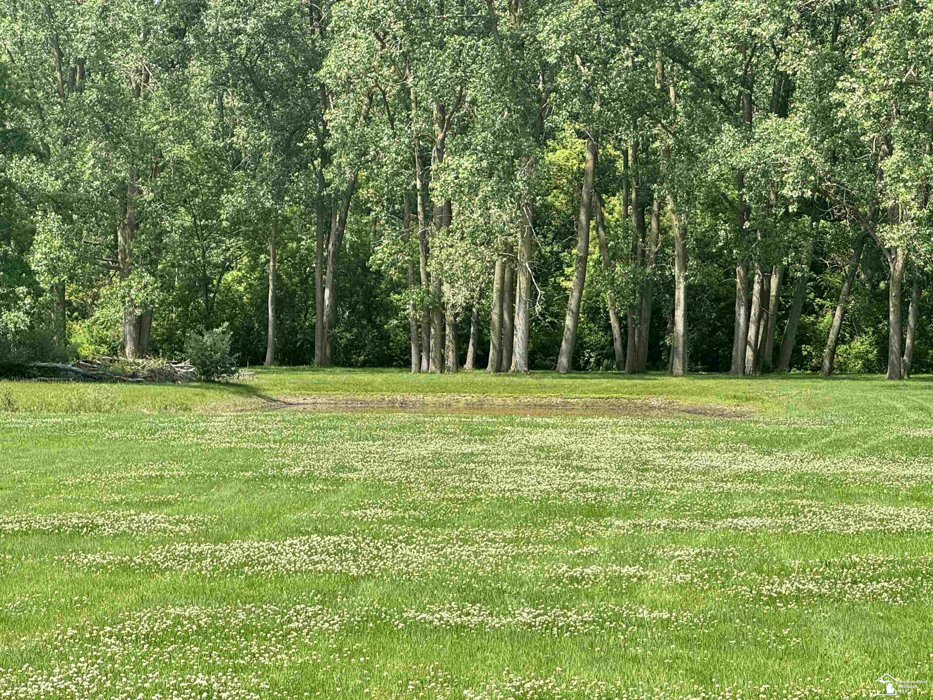 2612 Samaria Road Temperance, MI 48182 - Photo 32 of 36