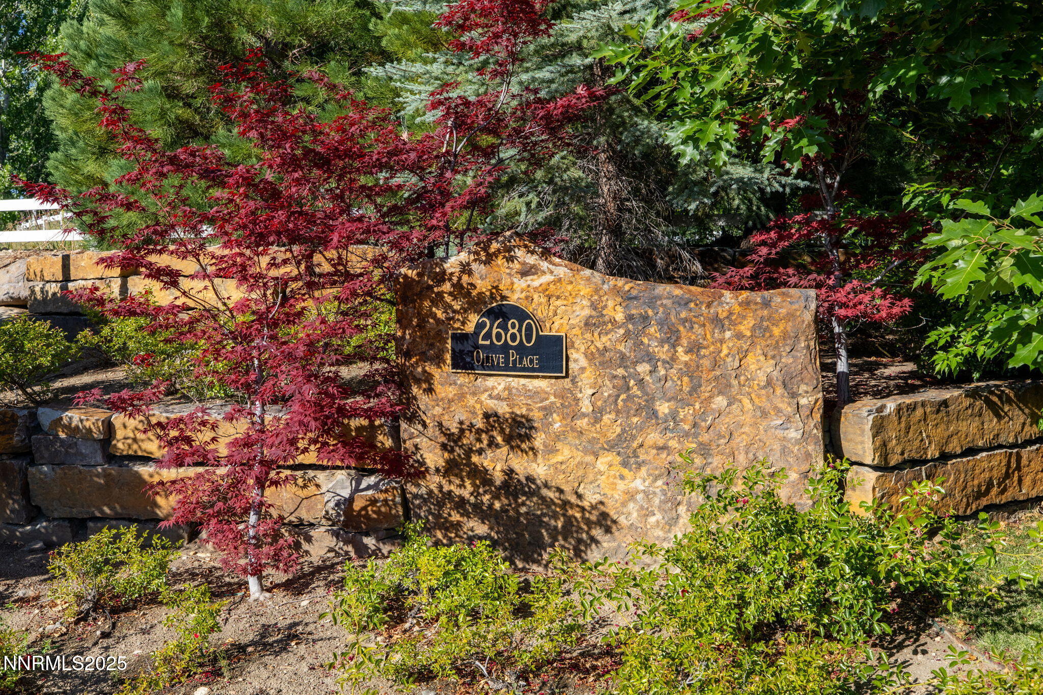 2680 Olive Place Reno, NV 89511 - Photo 4 of 41 23-web-or-mls-2680 Olive Pl-6