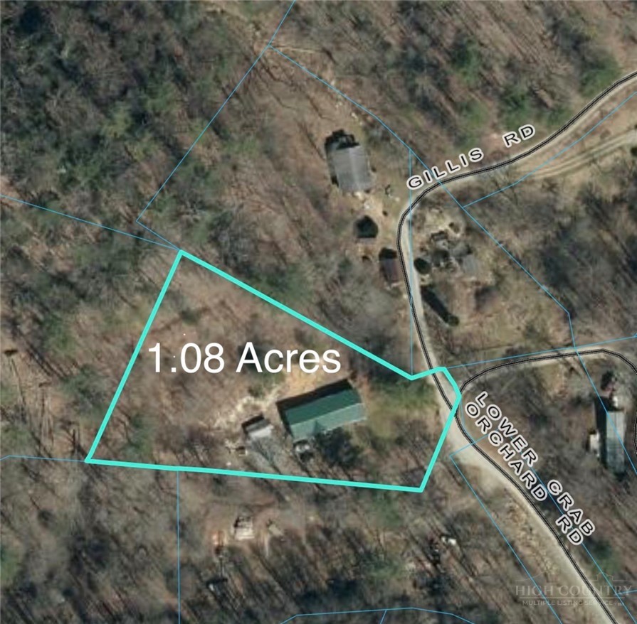 737 Lower Crab Orchard Road Banner Elk, NC 28604 - Photo 14 of 14