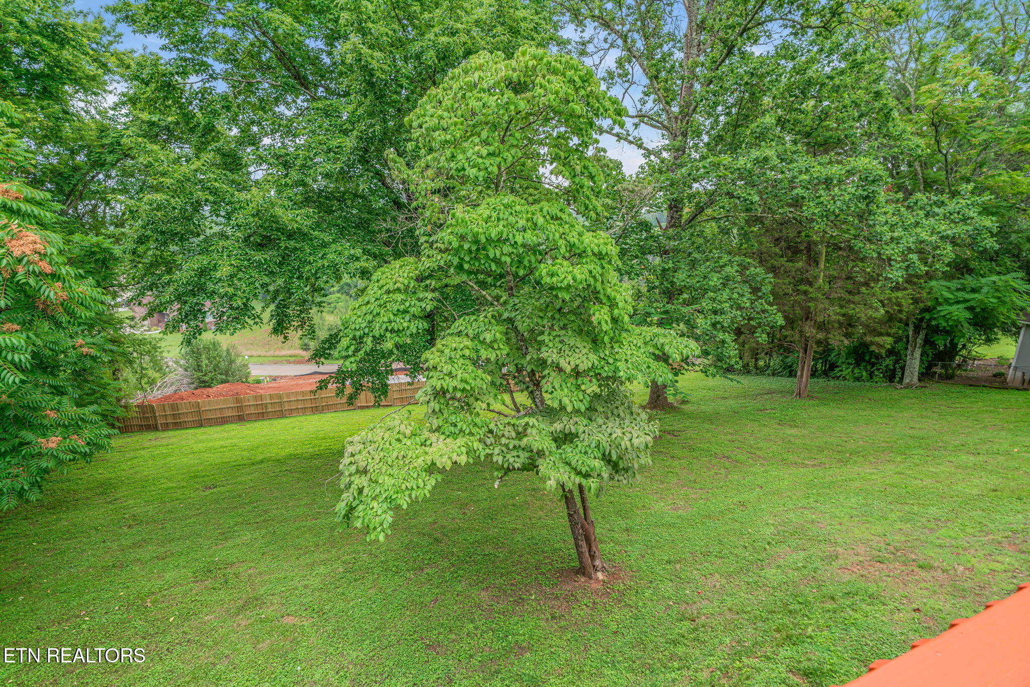 1221 Laurel Road Clinton, TN 37716 - Photo 17 of 41 19-web-or-mls-1221 Laurel Road-12
