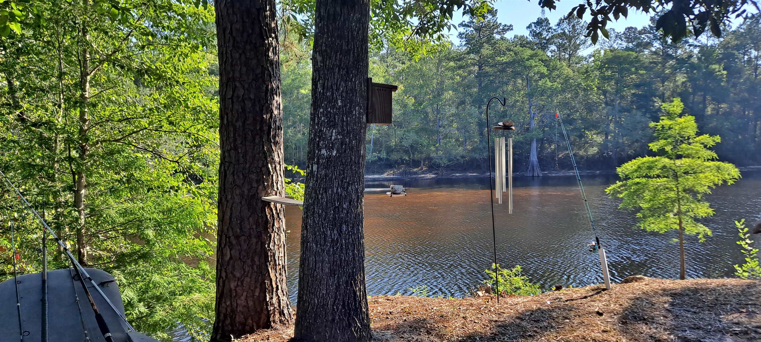 501 Trussel Road Andrews, SC 29510 - Photo 20 of 20