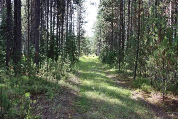 $225,000 | L49 Secesh River Road, McCall, ID 83638