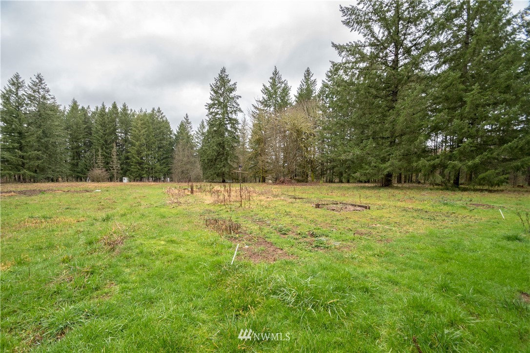 276 Clark Road Onalaska, WA 98570 - Photo 17 of 21 Gallery Image 17