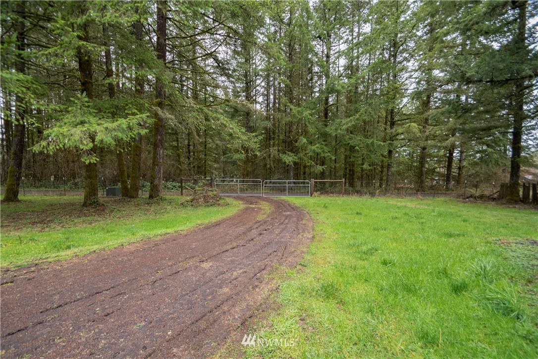 276 Clark Road Onalaska, WA 98570 - Photo 18 of 21 Gallery Image 18