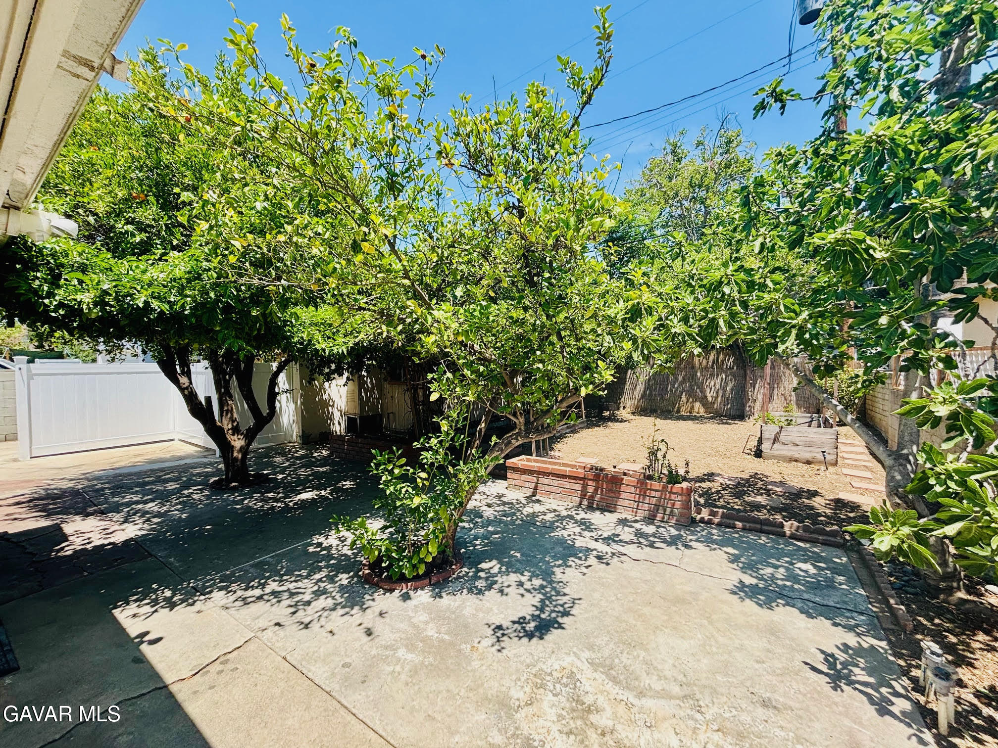 6534 Balcom Avenue Reseda, CA 91335 - Photo 25 of 25 a view of a yard with plants and large trees