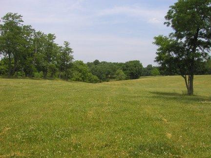 570 Anderson Road, Unit B 1 Georgetown, KY 40324 - Photo 7 of 15 Photo 7