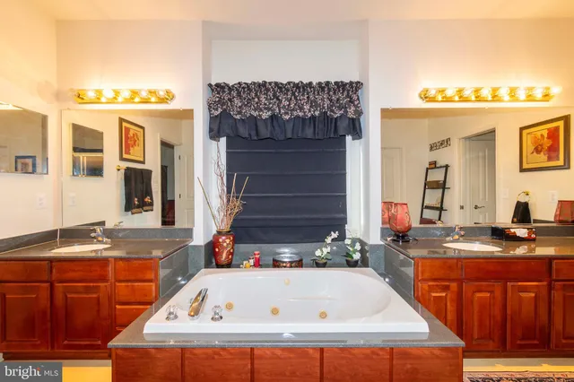 a view of a backyard with potted plants and large trees