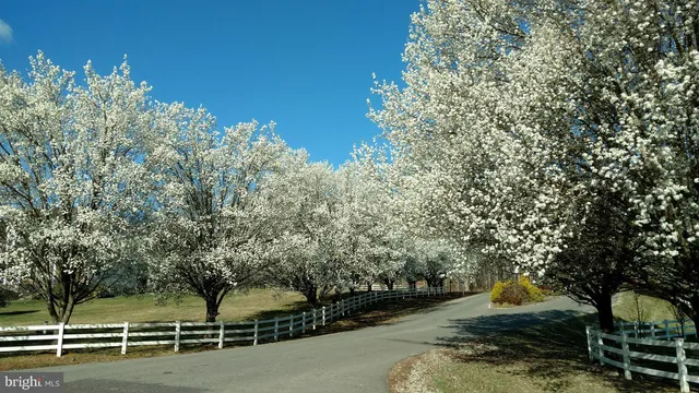 $894,000 | 5501 Hickory Tree Lane, Mineral, VA 23117