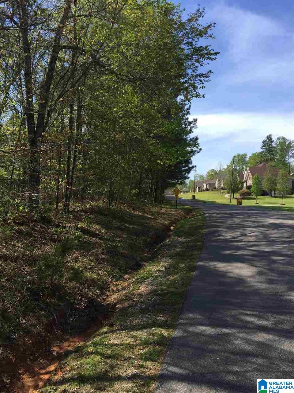 1331 Cedar Creek Road, Unit 4 ACRES Odenville, AL 35120 - Photo 5 of 20