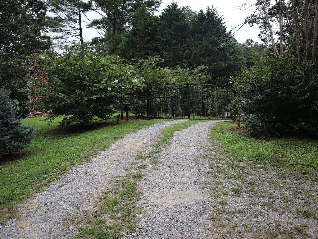 8249 Boardtown Road Ellijay, GA 30540 - Photo 11 of 71 Level land