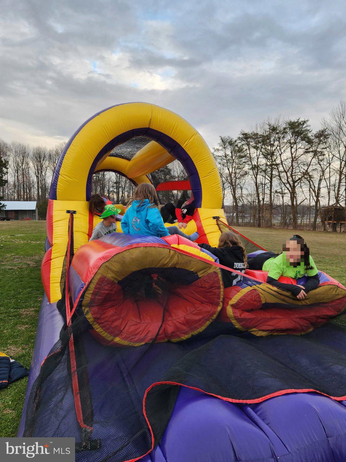 586 Zeitler Road Elkton, MD 21921 - Photo 50 of 55 Joyful kids on a vibrant slide!