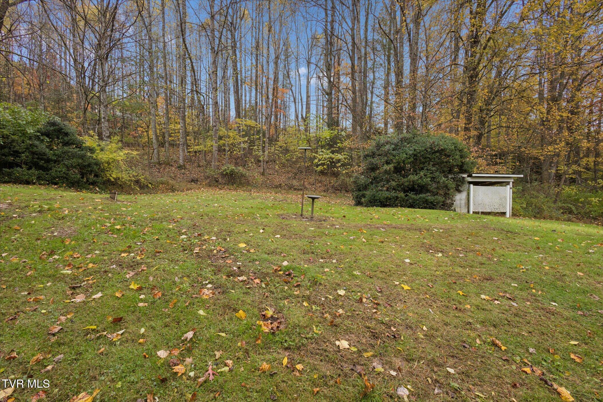 270 Hurley Hollow Road Elizabethton, TN 37643 - Photo 28 of 43 29-270-Hurley-Hollow-Rd--WindowStill-Rea