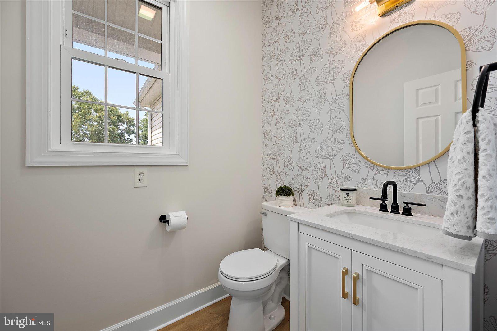 26161 Bosch Lane Hebron, MD 21830 - Photo 22 of 49 a bathroom with a toilet sink and mirror