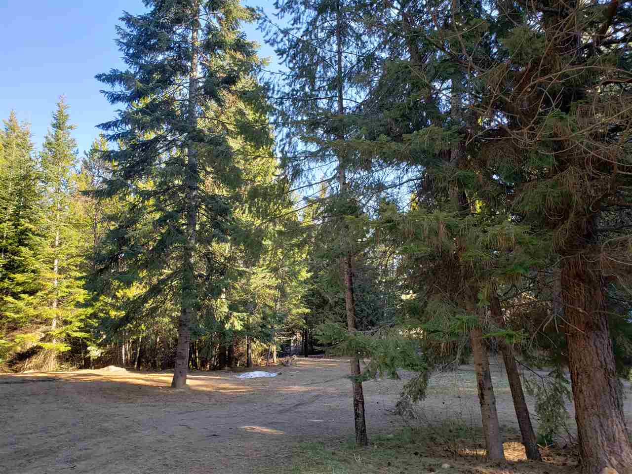 10808 East Tallman Road Chattaroy, WA 99003 - Photo 20 of 20 Gallery Image 20