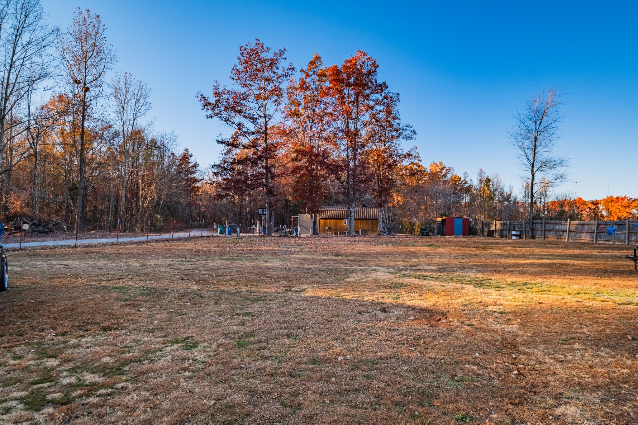 73 Spring Lake Circle Beechgrove, TN 37018 - Photo 8 of 43 a view of road with large trees