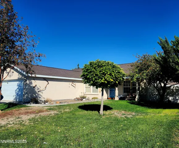 a view of a backyard with a tree