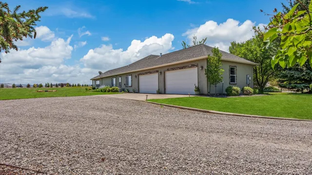 a view of a house with a yard and a large tree