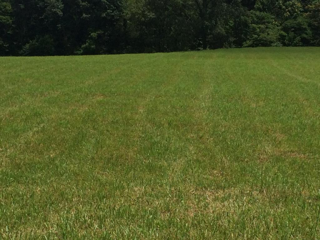 0 Buckingham Road Gray, TN 37615 - Photo 2 of 6 Photo 2