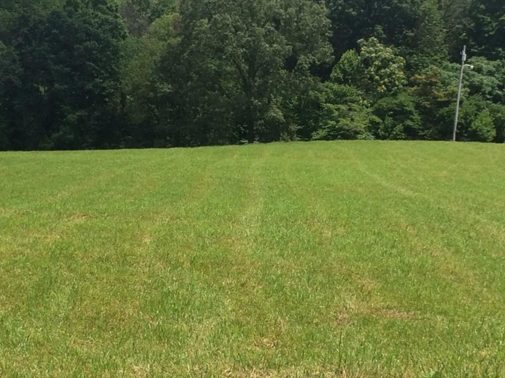 0 Buckingham Road Gray, TN 37615 - Photo 3 of 6 Photo 3