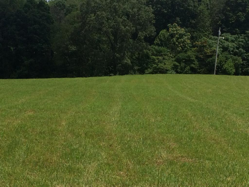 0 Buckingham Road Gray, TN 37615 - Photo 4 of 6 Photo 4
