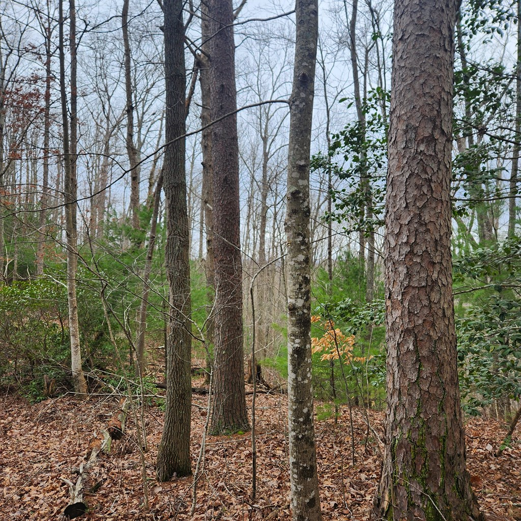 7.72-ac Tower Road Mineral Bluff, GA 30559 - Photo 12 of 16 Gallery Image 12