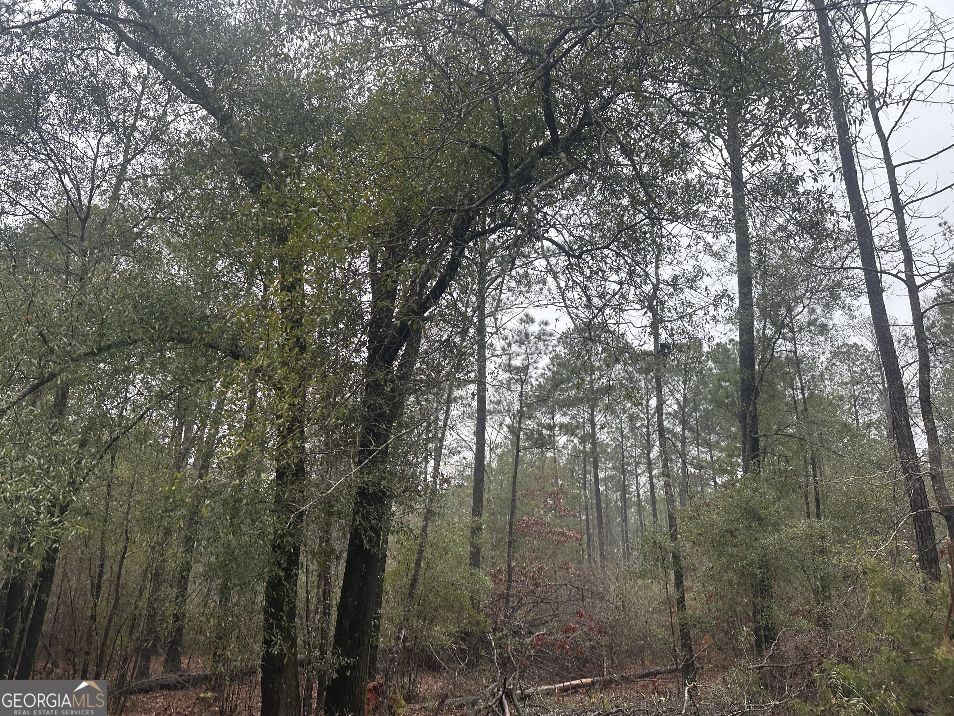 12.35-ac White Road Pine Mountain, GA 31822 - Photo 2 of 6