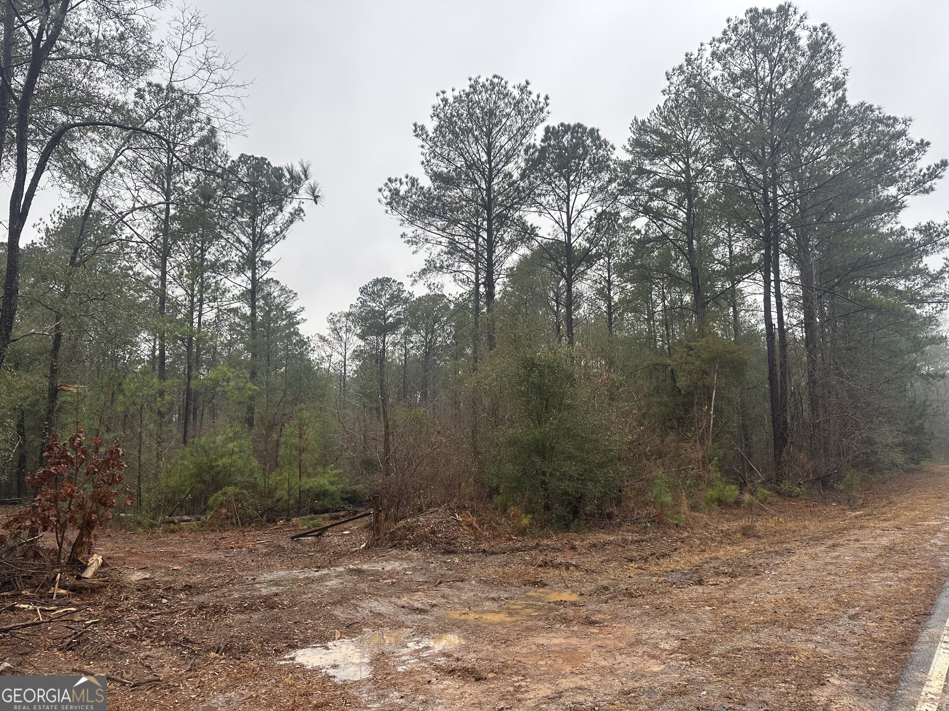 12.35-ac White Road Pine Mountain, GA 31822 - Photo 3 of 6 a view of a yard with trees in the background