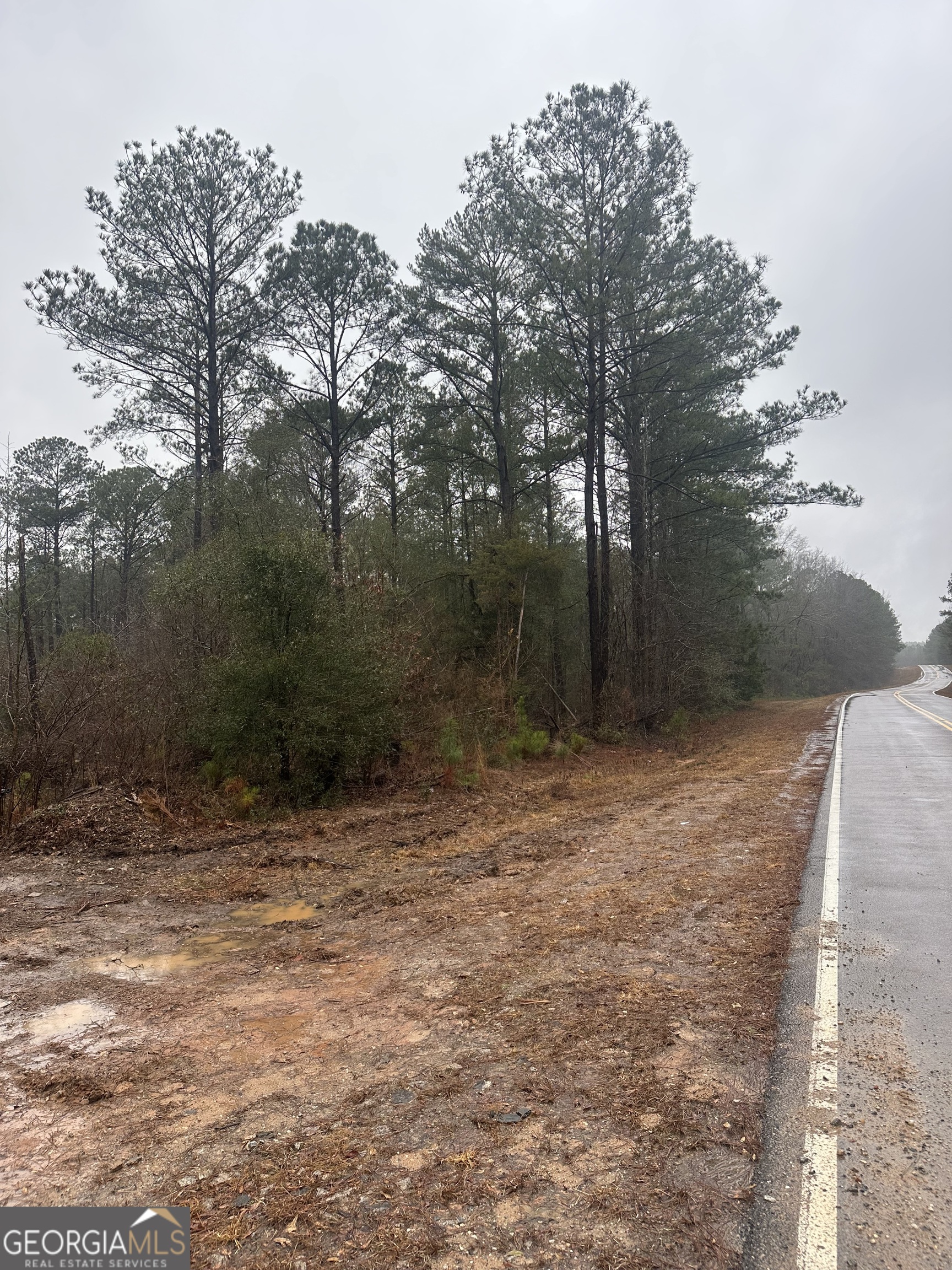 12.35-ac White Road Pine Mountain, GA 31822 - Photo 6 of 6 a view of outdoor space and yard