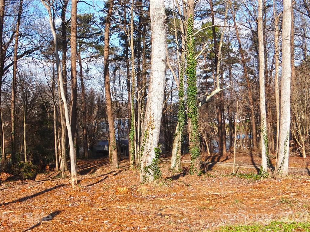 4053 Chevlot Hills Road Sherrills Ford, NC 28673 - Photo 22 of 22 a view of a backyard of the house