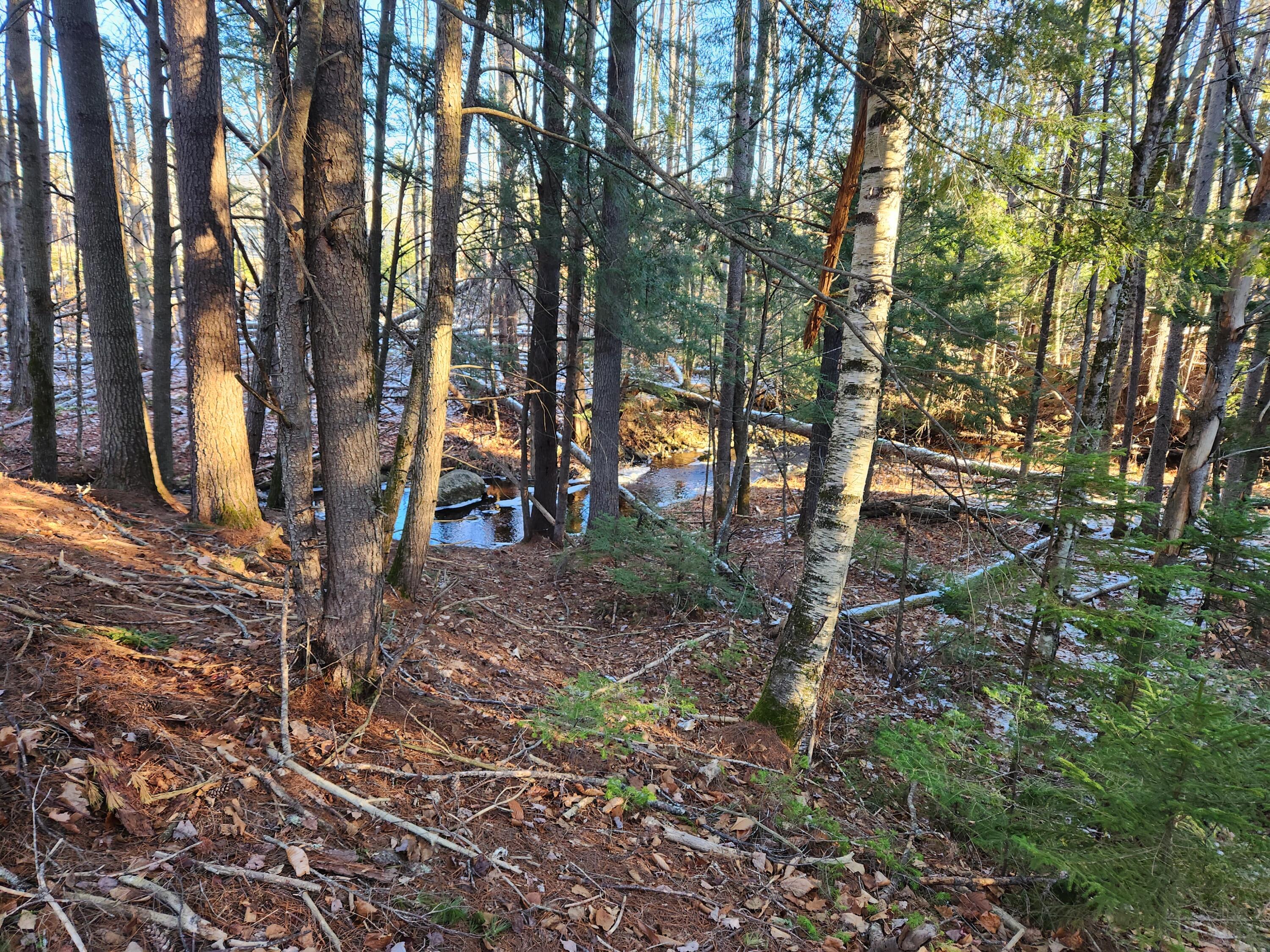 871 Buckfield Road Hebron, ME 04238 - Photo 10 of 18 20221122_083753