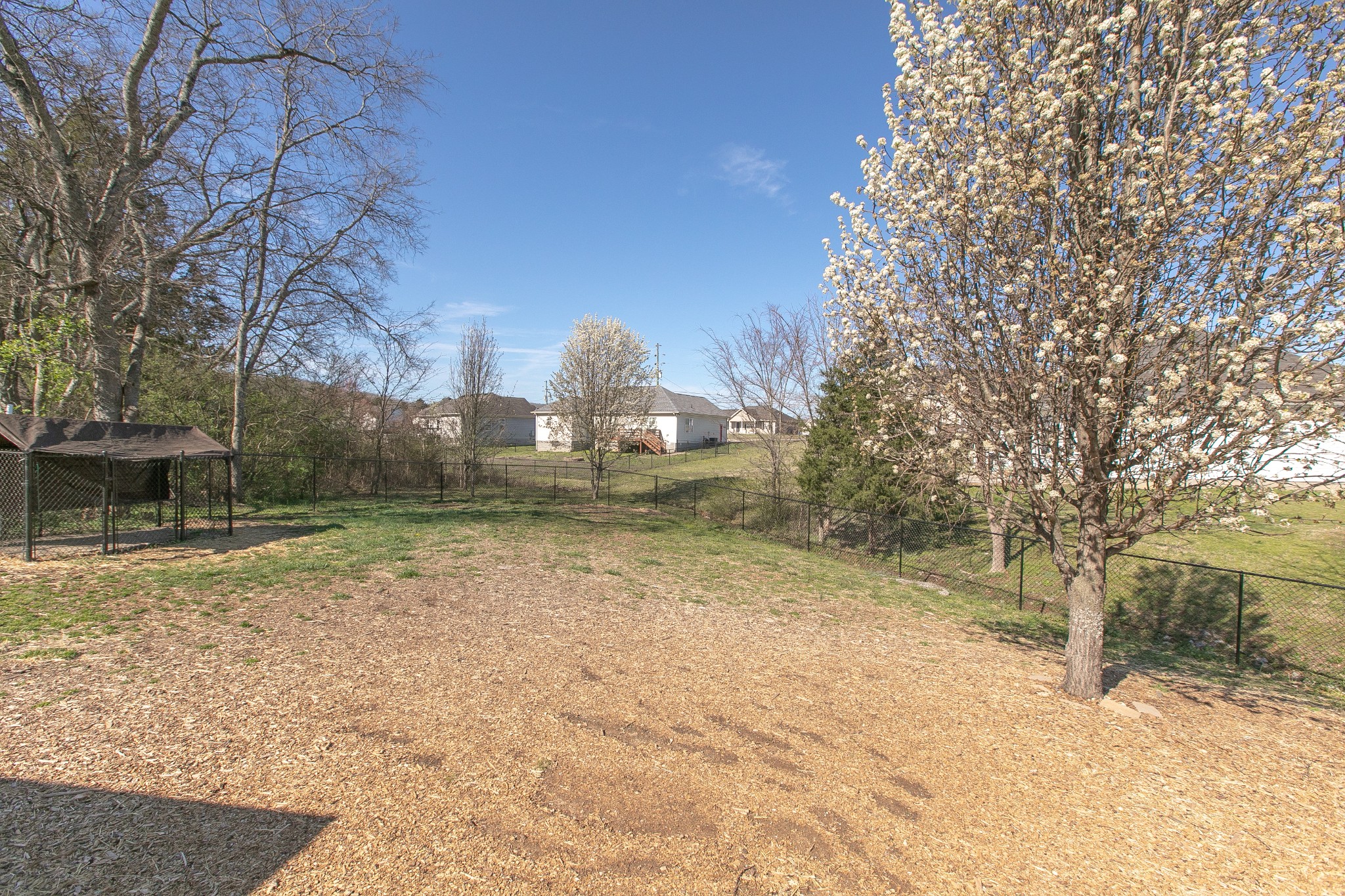 1025 Maxfli Drive Murfreesboro, TN 37129 - Photo 25 of 42 a view of a yard with trees