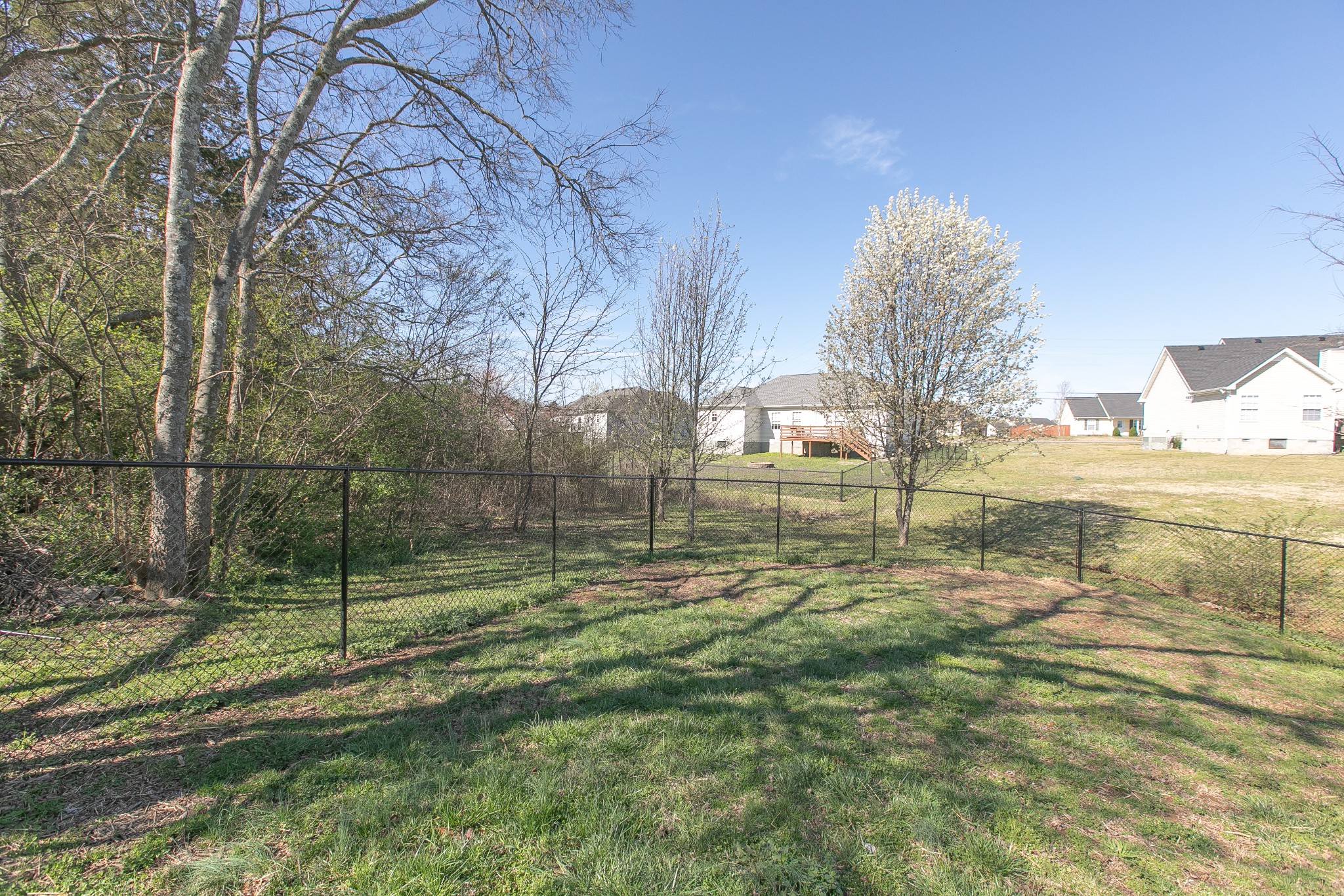1025 Maxfli Drive Murfreesboro, TN 37129 - Photo 29 of 42 a garden with trees in the background