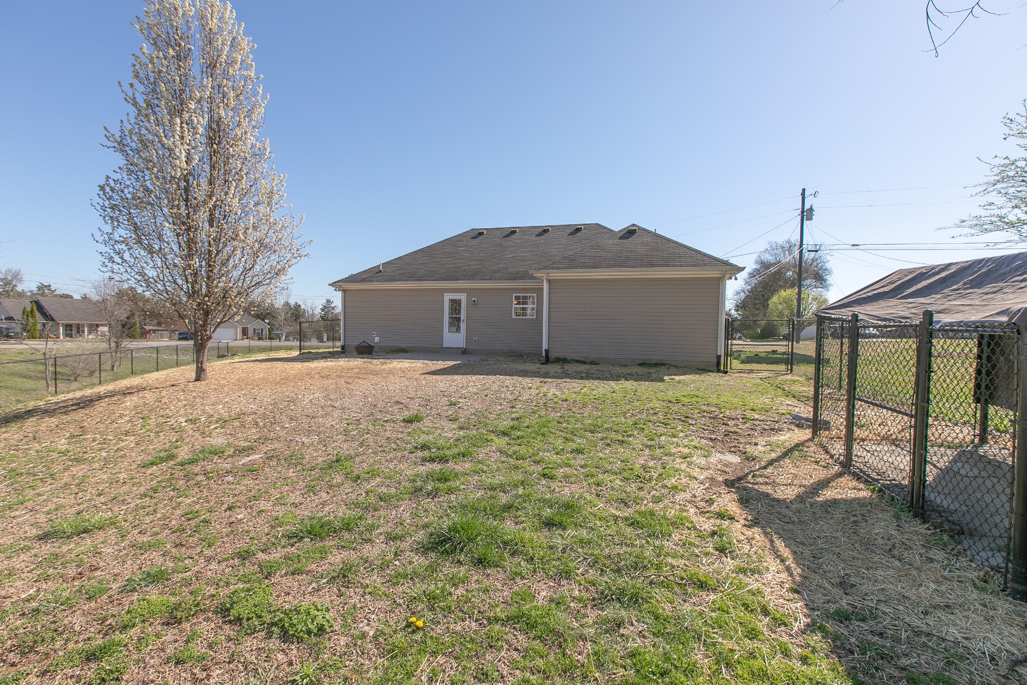1025 Maxfli Drive Murfreesboro, TN 37129 - Photo 32 of 42 a blue house with a yard and a large tree in the background