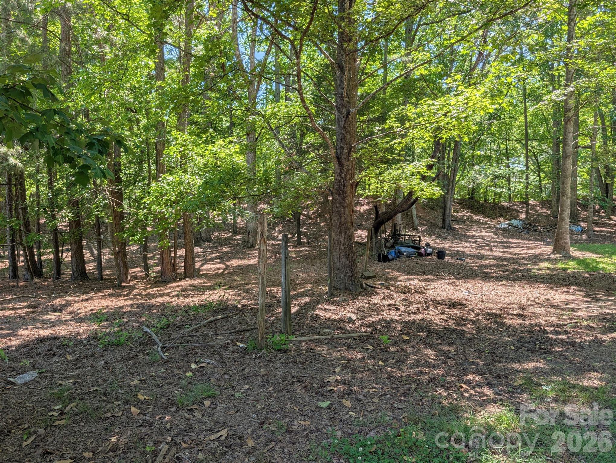 4053 Roddey Road Catawba, SC 29704 - Photo 43 of 43