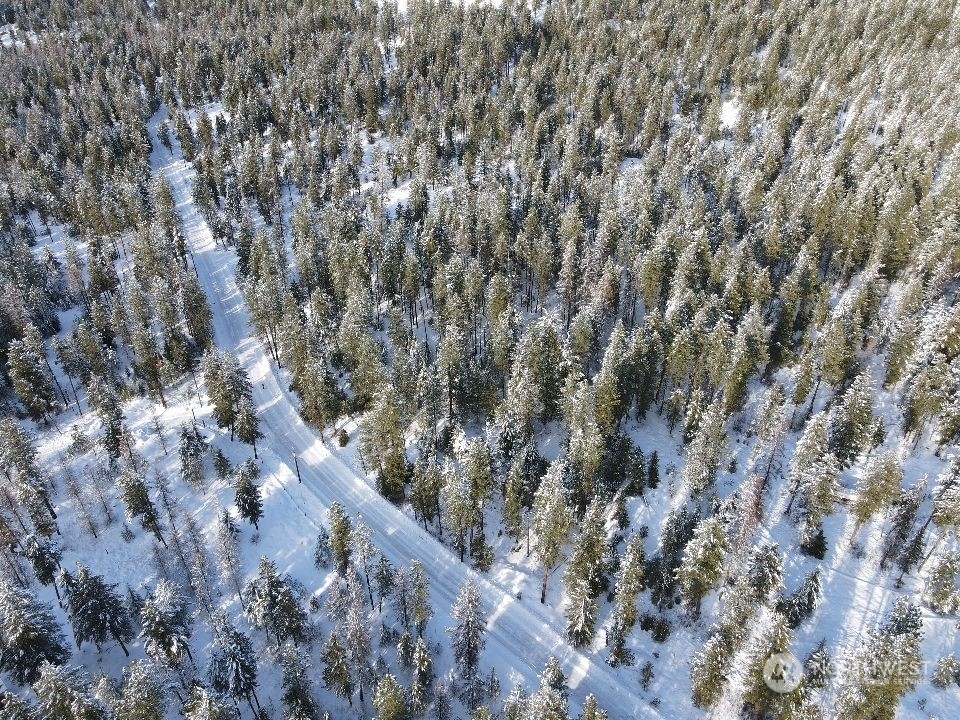 96-tbd Summit Lake Road Tonasket, WA 98855 - Photo 3 of 24 Gallery Image 3