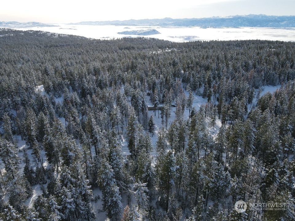 96-tbd Summit Lake Road Tonasket, WA 98855 - Photo 4 of 24 Gallery Image 4
