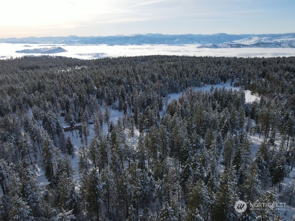 96-tbd Summit Lake Road Tonasket, WA 98855 - Photo 5 of 24 Gallery Image 5