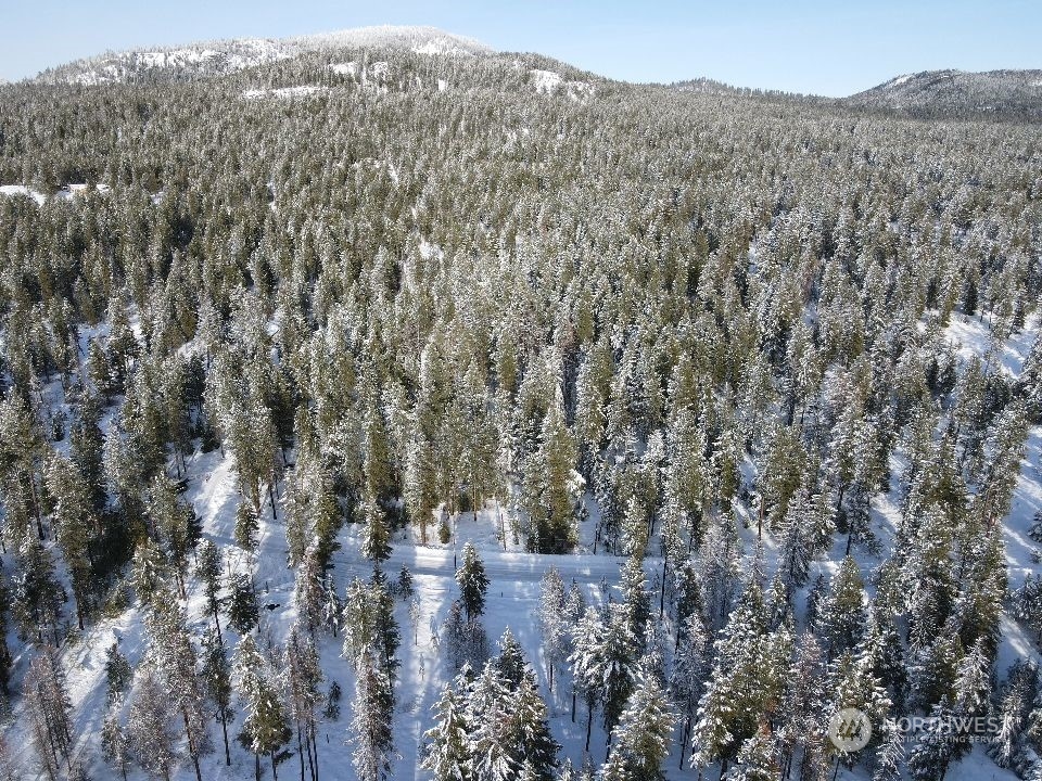 96-tbd Summit Lake Road Tonasket, WA 98855 - Photo 6 of 24 Gallery Image 6