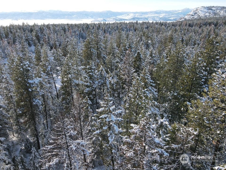 96-tbd Summit Lake Road Tonasket, WA 98855 - Photo 8 of 24 Gallery Image 8