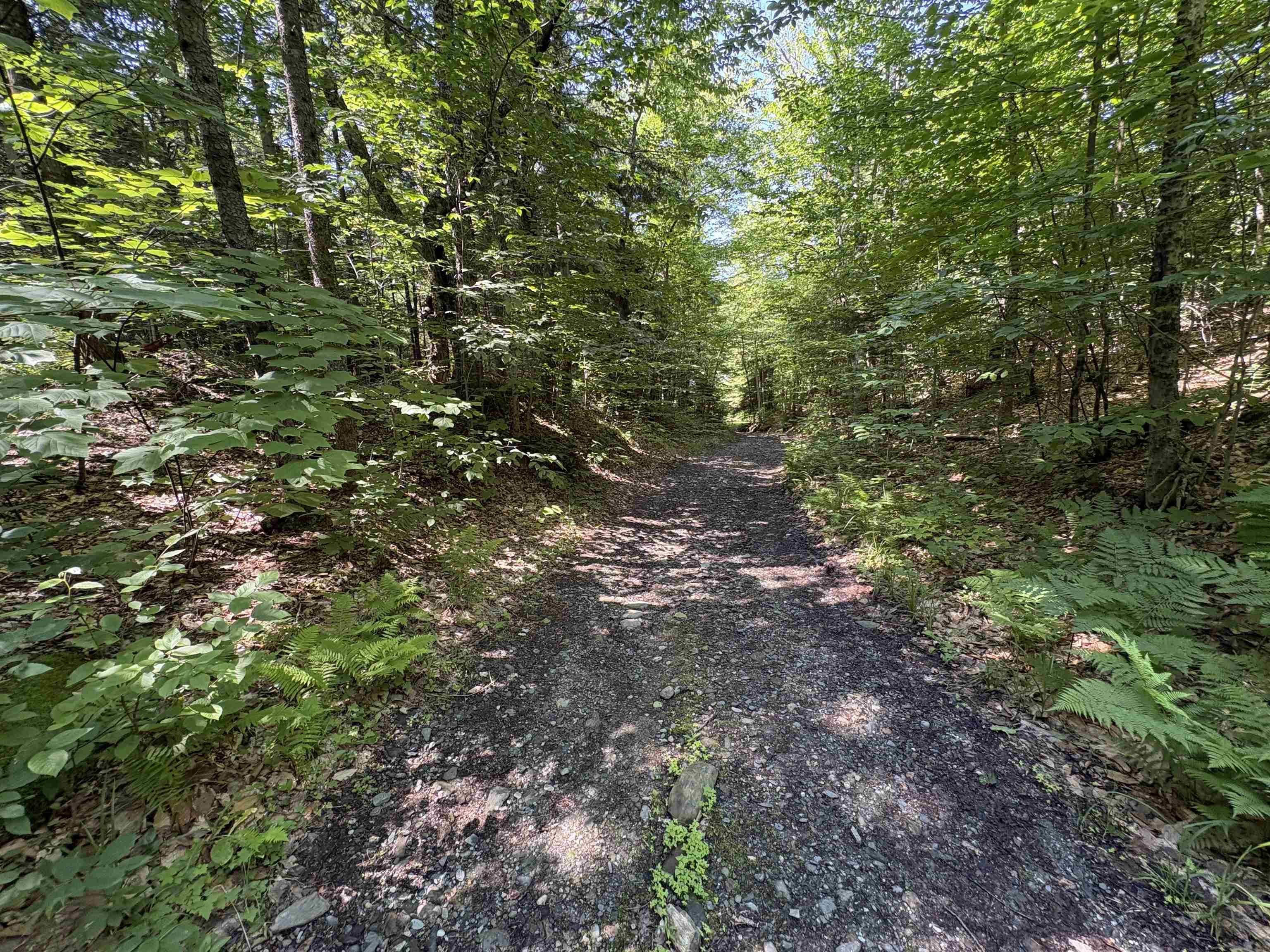 0 Hog Hollow Road Montpelier, VT 05602 - Photo 10 of 14