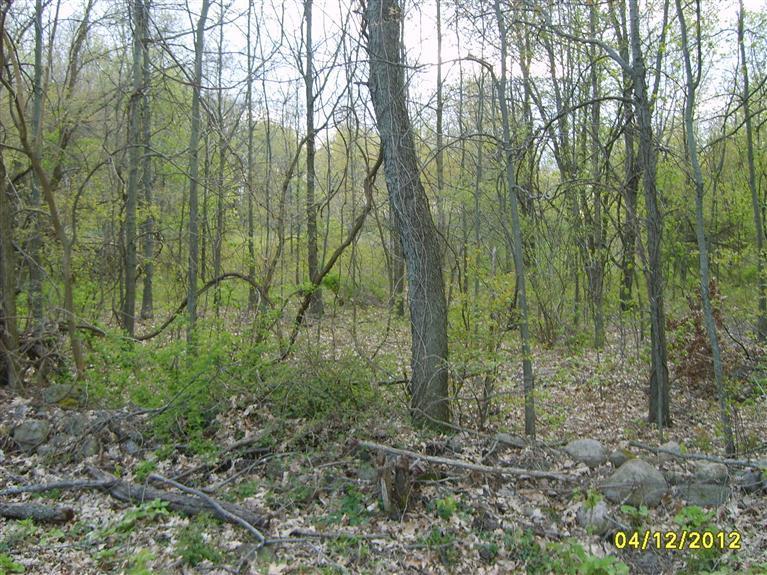 11790 Luttenton Road Hanover, MI 49241 - Photo 6 of 8 Additional Photo