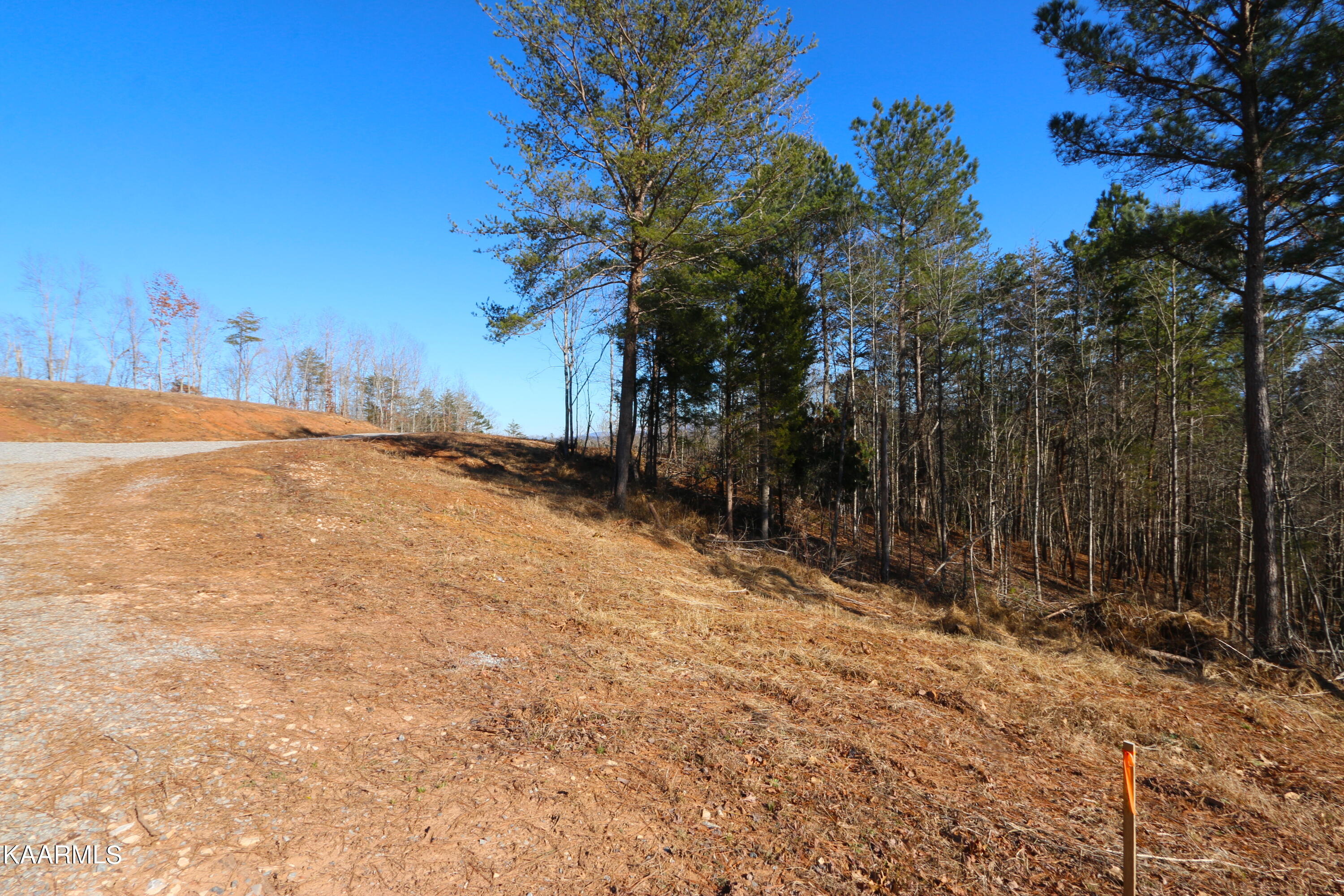 13 Bill Moser Road Vonore, TN 37885 - Photo 5 of 18 IMG_0288