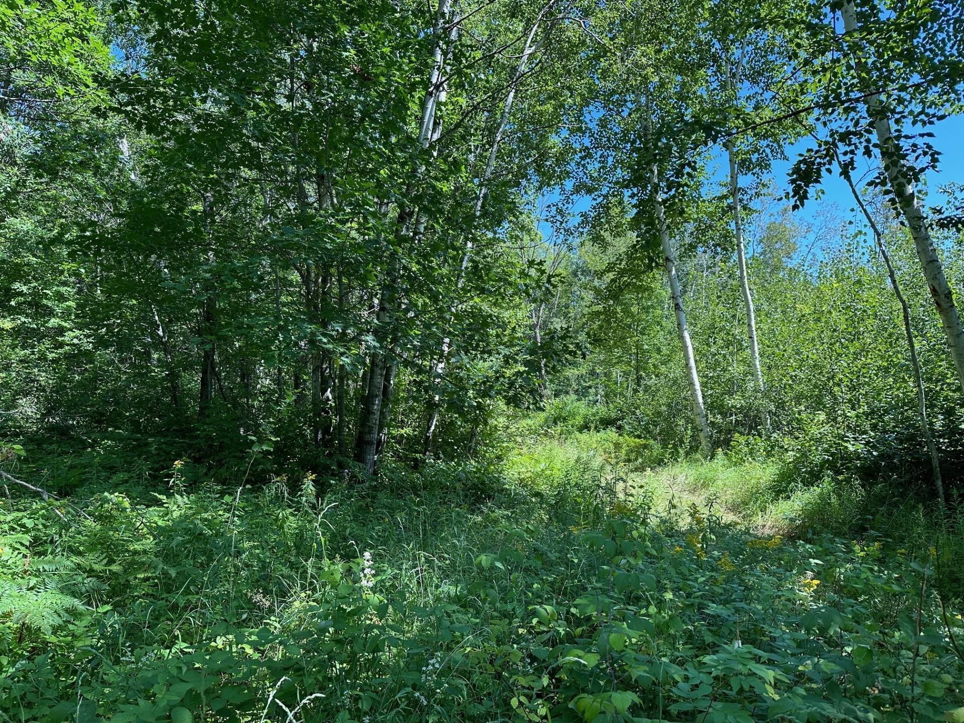 Tbd Tbd Nokay Hall Road Brainerd, MN 56401 - Photo 9 of 31