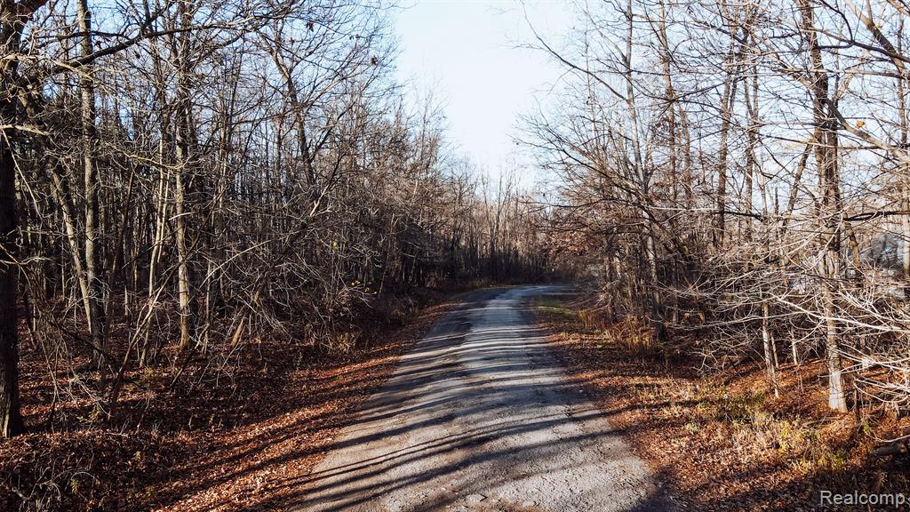 0 Ripple Way White Lake, MI 48383 - Photo 12 of 12