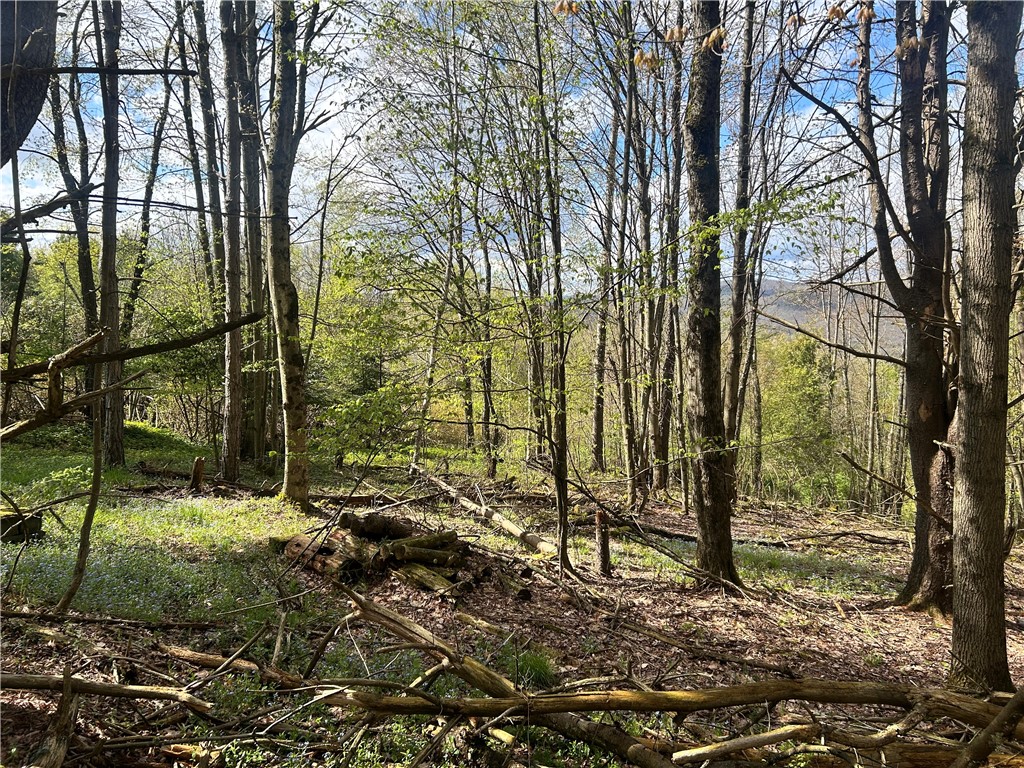 260 State Street Oneonta, NY 13820 - Photo 29 of 36