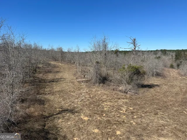 a view of a dry yard with trees in the background