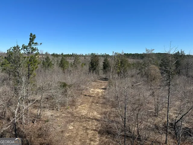 a view of a dry yard with wooden fence