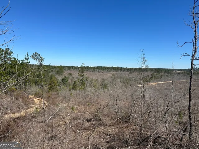 $373,750 | 4 Mt Sinai Church Road, Butler, GA 31006