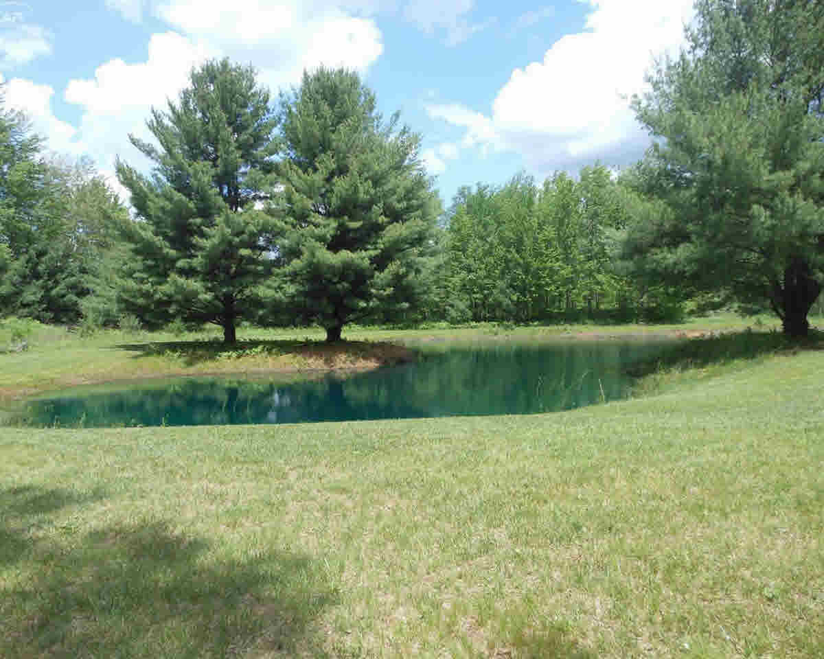 3361 Waltan Road Vassar, MI 48768 - Photo 17 of 31 21302063-16.JPG